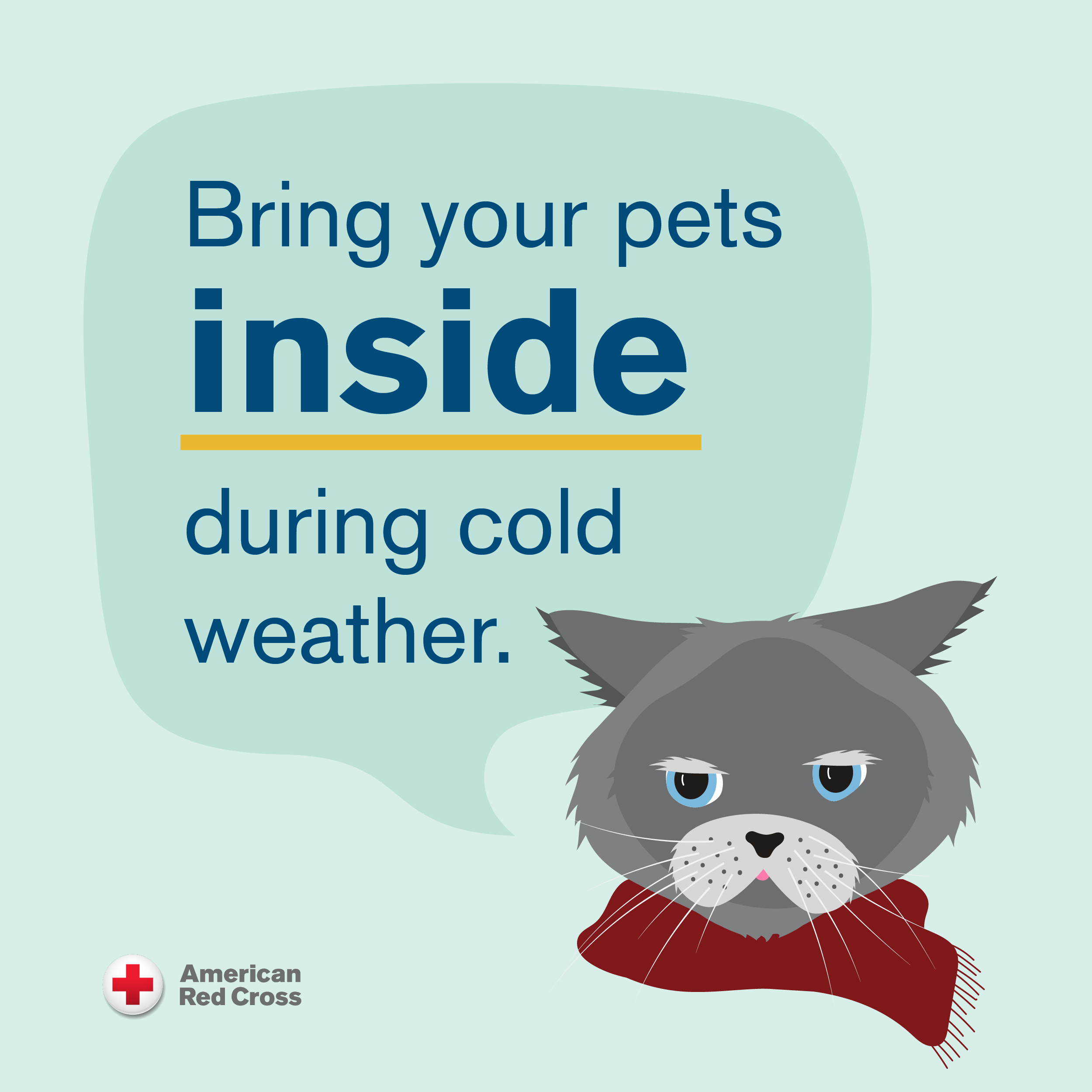 Cold weather pet safety: Tips to keep your fur babies warm and healthy this winter